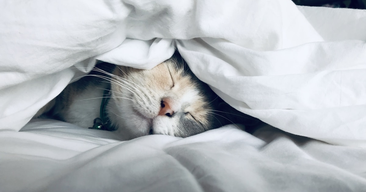 Person sleeping on their side in a dim bedroom